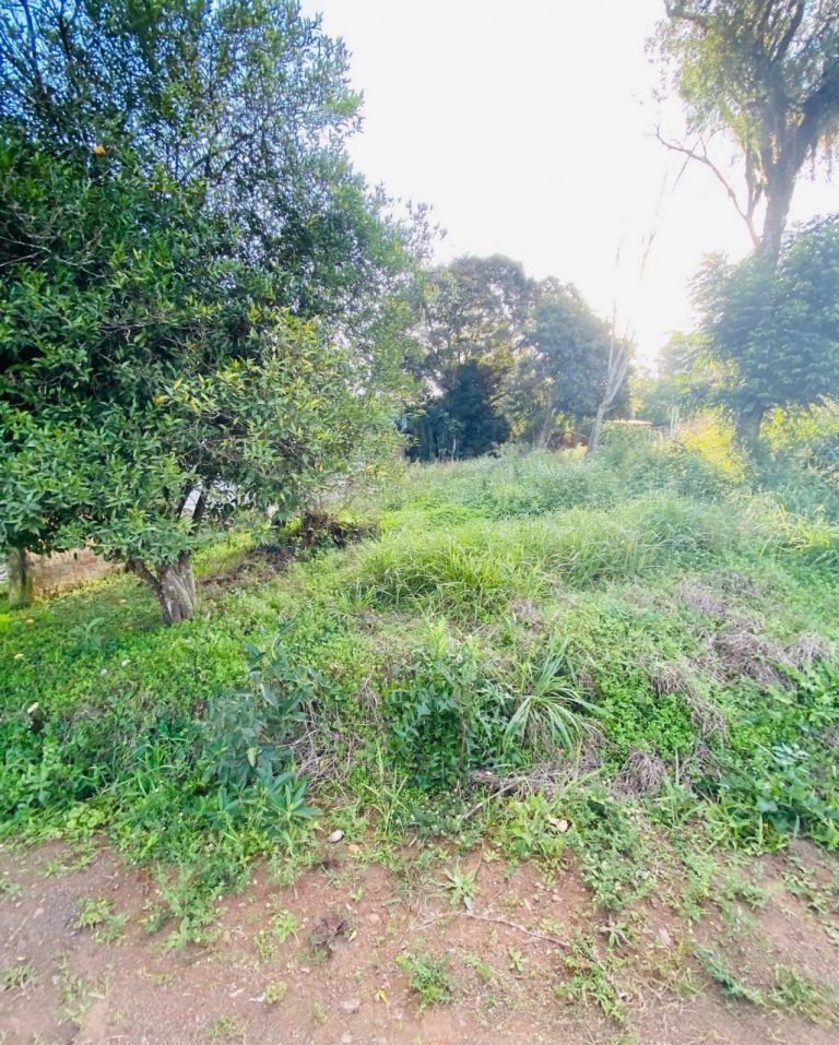 Terreno no TATEC