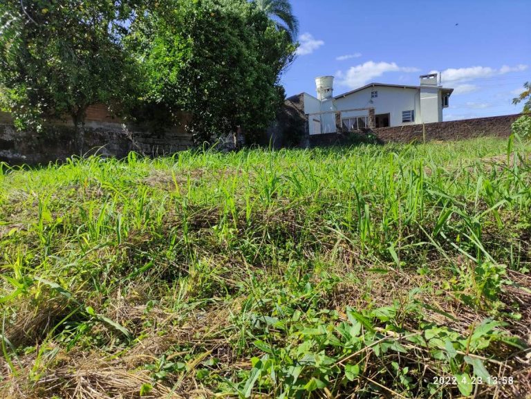 Lindo terreno na Osvaldo Aranha