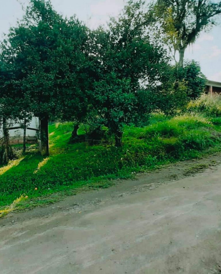 Terreno no TATEC
