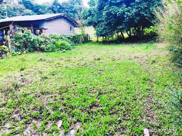 LINDO TERRENO NOS COQUEIROS