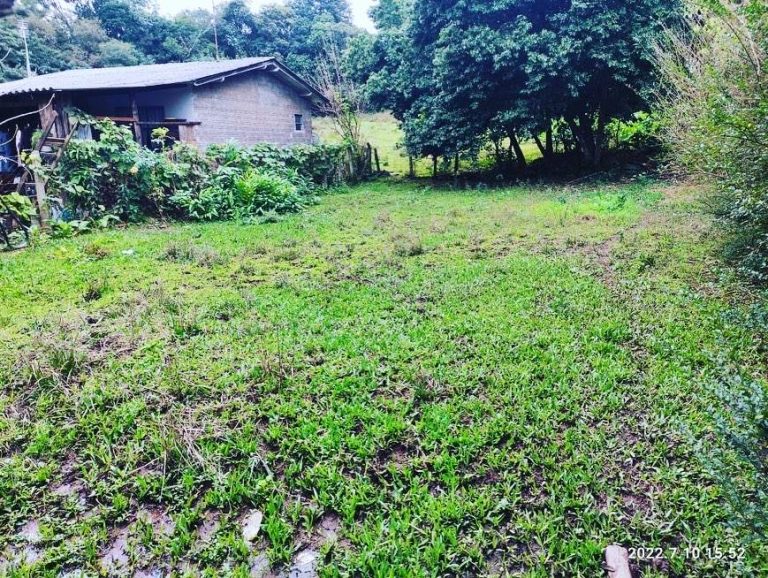 LINDO TERRENO NOS COQUEIROS