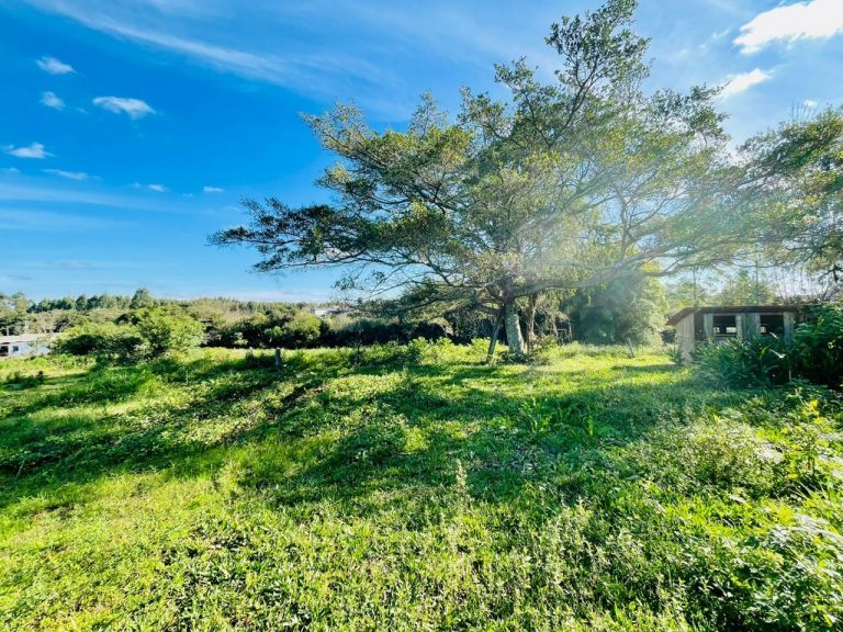 Linda Chácara na Aleixo Rocha, com 02 hectares de terra