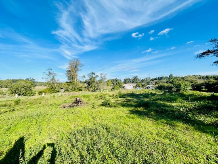 Linda Chácara na Aleixo Rocha, com 02 hectares de terra