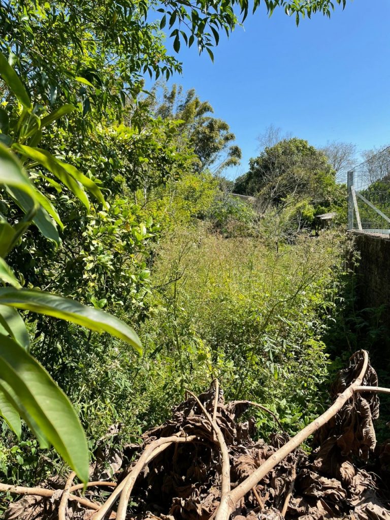 Ótima casa no Bairro Praia, na cidade de Taquari – RS