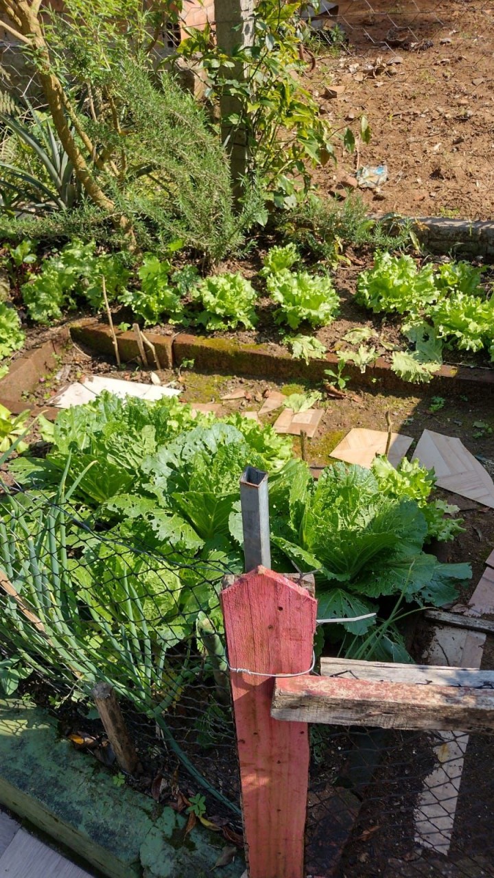 Tabaí-Rs Venda Casa-Mercado