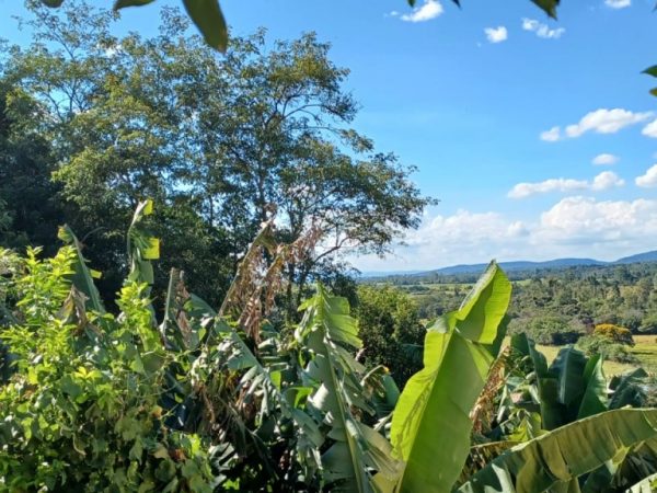 Lindo terreno Perau no bairro Ipê
