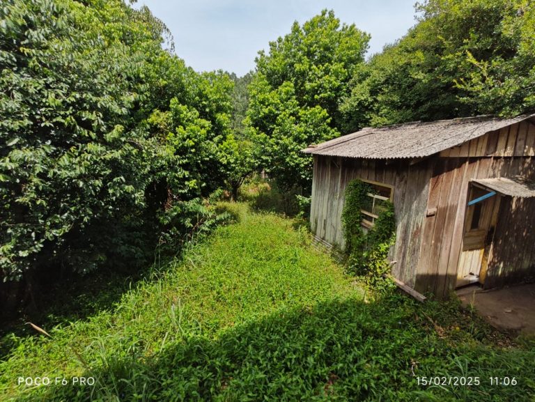 Bela casa na Olaria