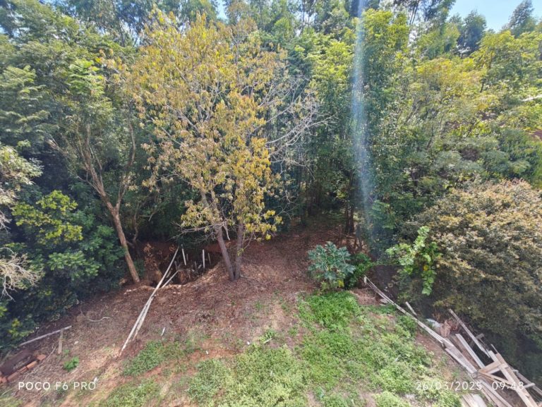 Imóvel residencial e comercial Em Costa da Cadeia – Coxilha Velha, Triunfo RS