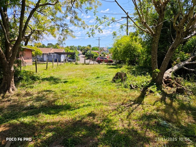 Belo terreno no loteamento zé luiz