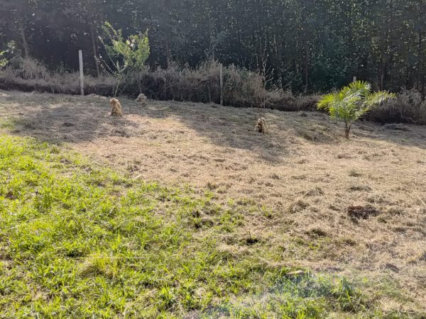 Terreno de 20.000m2 com açude e casa mista