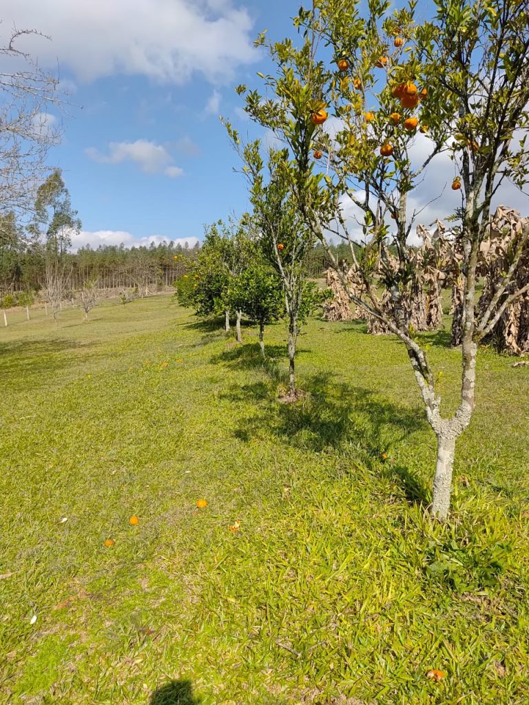 Terreno de 20.000m2 com açude e casa mista